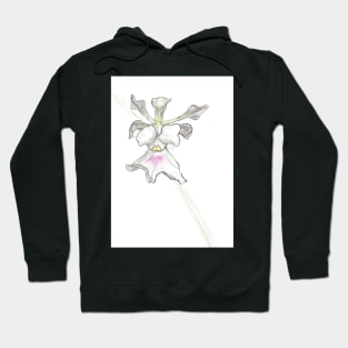 Orchid sketch Hoodie